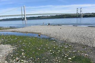 Filename=DSC_2119.JPG
Filesize=25402KiB
Dimensions=7360x4912
Date added=Aug 02, 2020 DSC_2119.JPG