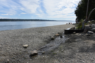 Filename=DSC_2120.JPG
Filesize=23864KiB
Dimensions=7360x4912
Date added=Aug 02, 2020 DSC_2120.JPG