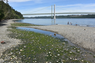 Filename=DSC_2121.JPG
Filesize=25256KiB
Dimensions=7360x4912
Date added=Aug 02, 2020 DSC_2121.JPG