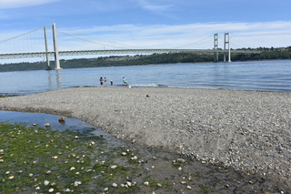 Filename=DSC_2122.JPG
Filesize=24828KiB
Dimensions=7360x4912
Date added=Aug 02, 2020 DSC_2122.JPG