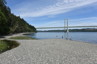 Filename=DSC_2123.JPG
Filesize=22767KiB
Dimensions=7360x4912
Date added=Aug 02, 2020 DSC_2123.JPG