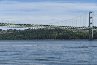 Filename=DSC_2127.JPG
Filesize=20163KiB
Dimensions=7360x4912
Date added=Aug 02, 2020 DSC_2127.JPG