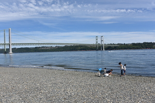 Filename=DSC_2129.JPG
Filesize=22314KiB
Dimensions=7360x4912
Date added=Aug 02, 2020 DSC_2129.JPG