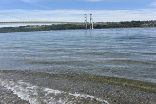 Filename=DSC_2133.JPG
Filesize=21622KiB
Dimensions=7360x4912
Date added=Aug 02, 2020 DSC_2133.JPG