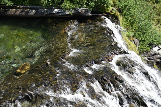 Filename=DSC_2481.JPG
Filesize=26582KiB
Dimensions=7360x4912
Date added=Aug 23, 2020 DSC_2481.JPG