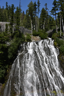 Filename=DSC_2488.JPG
Filesize=24178KiB
Dimensions=4912x7360
Date added=Aug 23, 2020 DSC_2488.JPG