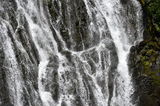 Filename=DSC_2492.JPG
Filesize=26691KiB
Dimensions=7360x4912
Date added=Aug 23, 2020 DSC_2492.JPG