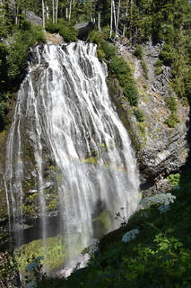 Filename=DSC_2494.JPG
Filesize=23933KiB
Dimensions=4912x7360
Date added=Aug 23, 2020 DSC_2494.JPG