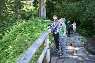 Filename=DSC_2508.JPG
Filesize=21965KiB
Dimensions=7360x4912
Date added=Aug 23, 2020 DSC_2508.JPG