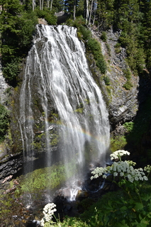 Filename=DSC_2510.JPG
Filesize=22804KiB
Dimensions=4912x7360
Date added=Aug 23, 2020 DSC_2510.JPG