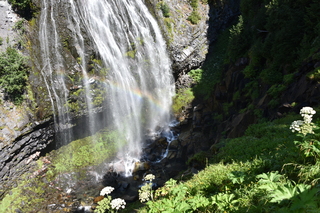 Filename=DSC_2512.JPG
Filesize=24686KiB
Dimensions=7360x4912
Date added=Aug 23, 2020 DSC_2512.JPG