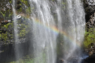 Filename=DSC_2521.JPG
Filesize=25613KiB
Dimensions=7360x4912
Date added=Aug 23, 2020 DSC_2521.JPG