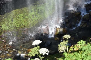 Filename=DSC_2523.JPG
Filesize=22043KiB
Dimensions=7360x4912
Date added=Aug 23, 2020 DSC_2523.JPG