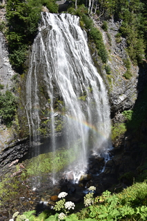 Filename=DSC_2525.JPG
Filesize=23505KiB
Dimensions=4912x7360
Date added=Aug 23, 2020 DSC_2525.JPG