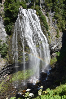 Filename=DSC_2526.JPG
Filesize=23852KiB
Dimensions=4912x7360
Date added=Aug 23, 2020 DSC_2526.JPG