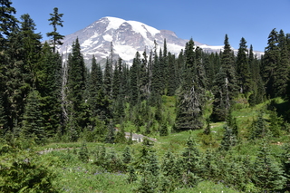 Filename=DSC_2528.JPG
Filesize=27591KiB
Dimensions=7360x4912
Date added=Aug 23, 2020 DSC_2528.JPG