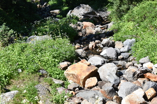 Filename=DSC_2532.JPG
Filesize=27625KiB
Dimensions=7360x4912
Date added=Aug 23, 2020 DSC_2532.JPG