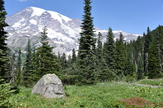 Filename=DSC_2550.JPG
Filesize=25817KiB
Dimensions=7360x4912
Date added=Aug 23, 2020 DSC_2550.JPG