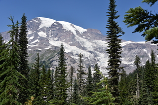 Filename=DSC_2596.JPG
Filesize=23320KiB
Dimensions=7360x4912
Date added=Aug 23, 2020 DSC_2596.JPG