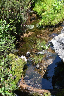 Filename=DSC_2601.JPG
Filesize=22603KiB
Dimensions=4912x7360
Date added=Aug 23, 2020 DSC_2601.JPG