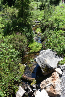 Filename=DSC_2602.JPG
Filesize=25969KiB
Dimensions=4912x7360
Date added=Aug 23, 2020 DSC_2602.JPG