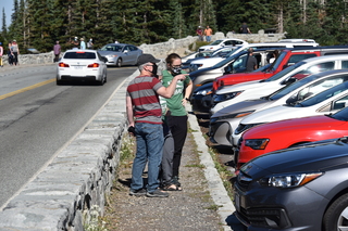 Filename=DSC_2605.JPG
Filesize=20167KiB
Dimensions=7360x4912
Date added=Aug 23, 2020 DSC_2605.JPG