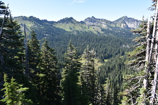 Filename=DSC_2606.JPG
Filesize=24561KiB
Dimensions=7360x4912
Date added=Aug 23, 2020 DSC_2606.JPG