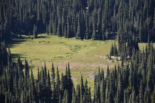 Filename=DSC_2614.JPG
Filesize=24995KiB
Dimensions=7360x4912
Date added=Aug 23, 2020 DSC_2614.JPG