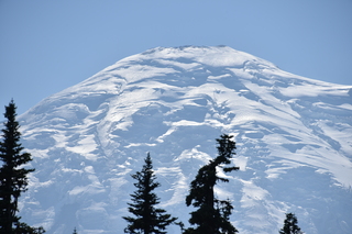 Filename=DSC_2631.JPG
Filesize=16692KiB
Dimensions=7360x4912
Date added=Aug 23, 2020 DSC_2631.JPG