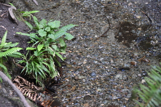 Filename=DSC_2647.JPG
Filesize=20060KiB
Dimensions=7360x4912
Date added=Sep 02, 2020 DSC_2647.JPG