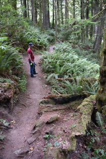 Filename=DSC_2650.JPG
Filesize=20810KiB
Dimensions=4912x7360
Date added=Sep 02, 2020 DSC_2650.JPG