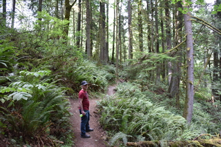 Filename=DSC_2651.JPG
Filesize=23522KiB
Dimensions=7360x4912
Date added=Sep 02, 2020 DSC_2651.JPG