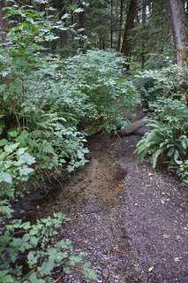 Filename=DSC_2654.JPG
Filesize=20927KiB
Dimensions=4912x7360
Date added=Sep 02, 2020 DSC_2654.JPG