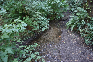 Filename=DSC_2658.JPG
Filesize=22722KiB
Dimensions=7360x4912
Date added=Sep 02, 2020 DSC_2658.JPG