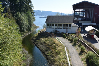 Filename=DSC_2673.JPG
Filesize=26525KiB
Dimensions=7360x4912
Date added=Sep 08, 2020 DSC_2673.JPG