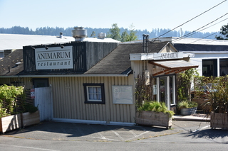 Filename=DSC_2681.JPG
Filesize=19691KiB
Dimensions=7360x4912
Date added=Sep 08, 2020 DSC_2681.JPG