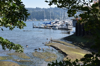 Filename=DSC_2688.JPG
Filesize=23031KiB
Dimensions=7360x4912
Date added=Sep 08, 2020 DSC_2688.JPG