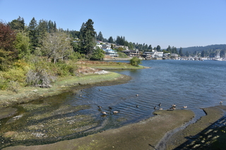 Filename=DSC_2691.JPG
Filesize=24189KiB
Dimensions=7360x4912
Date added=Sep 08, 2020 DSC_2691.JPG