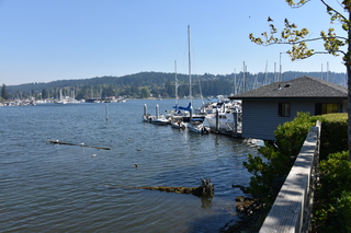 Filename=DSC_2699.JPG
Filesize=20045KiB
Dimensions=7360x4912
Date added=Sep 08, 2020 DSC_2699.JPG