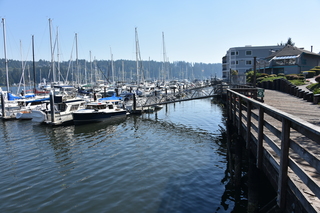 Filename=DSC_2702.JPG
Filesize=19175KiB
Dimensions=7360x4912
Date added=Sep 08, 2020 DSC_2702.JPG