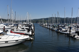 Filename=DSC_2707.JPG
Filesize=19502KiB
Dimensions=7360x4912
Date added=Sep 08, 2020 DSC_2707.JPG