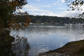 Filename=DSC_2713.JPG
Filesize=20822KiB
Dimensions=7360x4912
Date added=Oct 25, 2020 DSC_2713.JPG