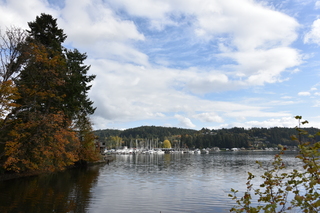 Filename=DSC_2714.JPG
Filesize=18675KiB
Dimensions=7360x4912
Date added=Oct 25, 2020 DSC_2714.JPG