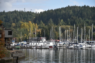 Filename=DSC_2715.JPG
Filesize=20732KiB
Dimensions=7360x4912
Date added=Oct 25, 2020 DSC_2715.JPG