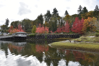 Filename=DSC_2721.JPG
Filesize=20871KiB
Dimensions=7360x4912
Date added=Oct 25, 2020 DSC_2721.JPG