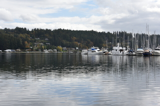 Filename=DSC_2726.JPG
Filesize=17397KiB
Dimensions=7360x4912
Date added=Oct 25, 2020 DSC_2726.JPG