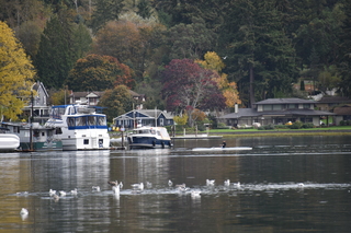 Filename=DSC_2729.JPG
Filesize=18736KiB
Dimensions=7360x4912
Date added=Oct 25, 2020 DSC_2729.JPG