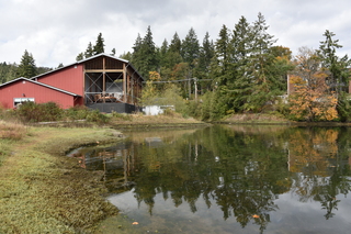 Filename=DSC_2730.JPG
Filesize=22963KiB
Dimensions=7360x4912
Date added=Oct 25, 2020 DSC_2730.JPG