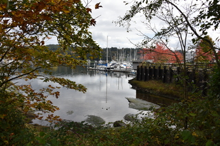 Filename=DSC_2732.JPG
Filesize=22189KiB
Dimensions=7360x4912
Date added=Oct 25, 2020 DSC_2732.JPG