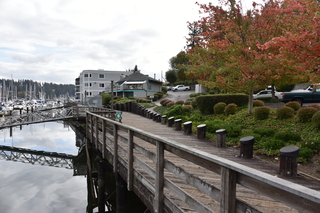 Filename=DSC_2740.JPG
Filesize=19692KiB
Dimensions=7360x4912
Date added=Oct 25, 2020 DSC_2740.JPG